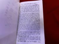 民衆エッセンス中国語辞典　（現代中国語　新中国語辞典）　（韓国　ハングル）