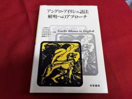 アングロ・アイリシュ語法　解明へのアプローチ
