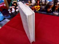 訳註　頼山陽詩集