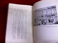 一遍上人と時宗　日本仏教宗史論集　第十巻