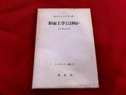 形而上学とは何か　増訂版　ハイデッガー選集　1