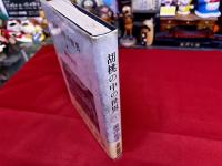 胡桃の中の世界