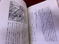 胡桃の中の世界