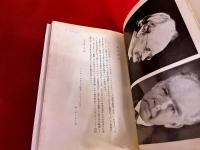 原子の歴史　ドルトンから量子力学まで