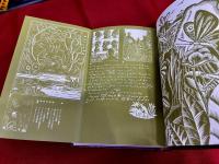 魔女の箒　月報付　世界幻想文学大系　10