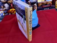 アミダ仏の源流をたずねて　車イスの旅100日
