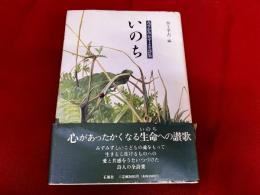 みずかみかずよ全詩集　いのち　付　「石風　No．8　みずかみかずよ全詩集　いのち　特集　（28頁）」