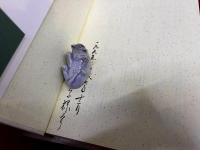 みずかみかずよ全詩集　いのち　付　「石風　No．8　みずかみかずよ全詩集　いのち　特集　（28頁）」