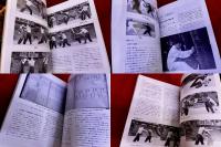 続　呉氏開門八極拳