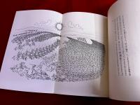 タイコたたきの夢