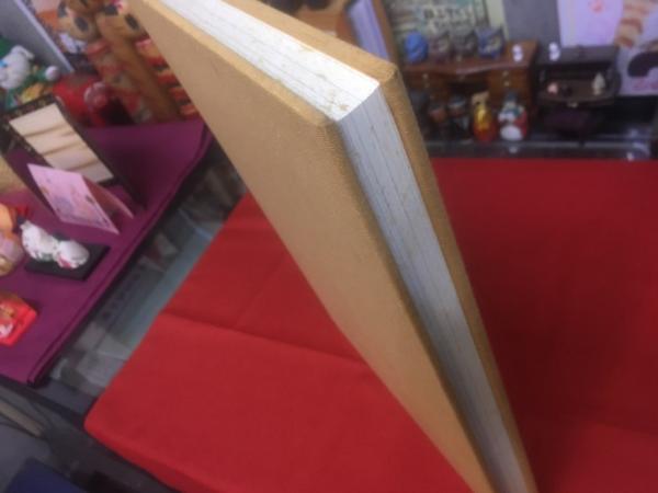 松丸東魚作品集 現代篆刻刻字代表作家集成(松丸東魚：著 松丸道雄：編