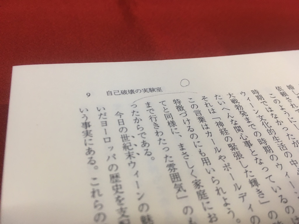 ウィトゲンシュタイン 天才の責務 全2巻揃 ☆画像7枚 ご参照ください