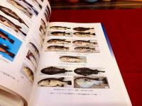 フグの分類と毒性　国際化時代の魚種検索法と毒性を考える　★画像7枚　ご参照くださいませ