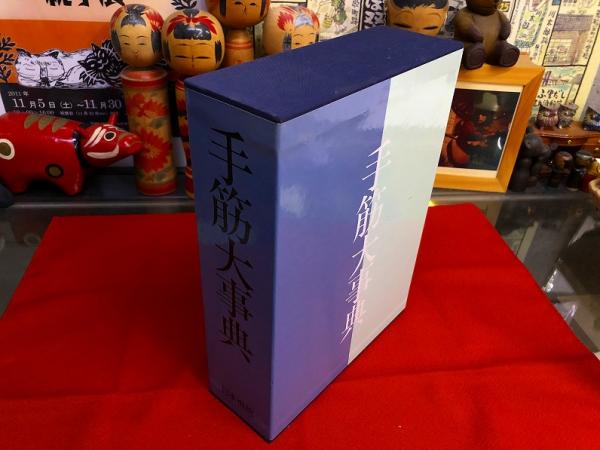 手筋大事典 （平成8年 第5刷） ☆画像7枚 ご参照くださいませ ☆送料