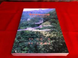 熊本県泉村の蝶 　魅せられた泉村の自然　（1994年）　★画像7枚　ご参照くださいませ