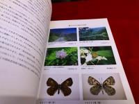 熊本県泉村の蝶 　魅せられた泉村の自然　（1994年）　★画像7枚　ご参照くださいませ