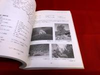 熊本県泉村の蝶 　魅せられた泉村の自然　（1994年）　★画像7枚　ご参照くださいませ