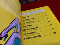 Burlesque Poster Design The Art of Tease （バーレスク