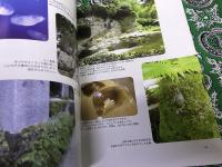 苔とあるく　蟲文庫店主田中美穂ペン署名イラスト入　（2008年　第2刷）