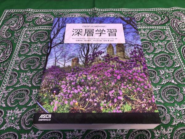 深層学習 DEEP LEARNING （2019年 第4刷） ☆画像7枚 ご参照ください 