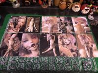 三浦悦子　義躰標本室　人形ポストカード集　全27枚揃　（2005年）　★画像7枚　ご参照くださいませ