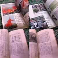 金魚入門　正しい飼い方とふやし方　（昭和48年）　★画像7枚　ご参照くださいませ
