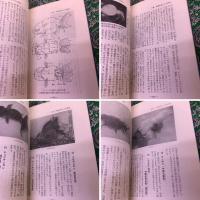 金魚入門　正しい飼い方とふやし方　（昭和48年）　★画像7枚　ご参照くださいませ