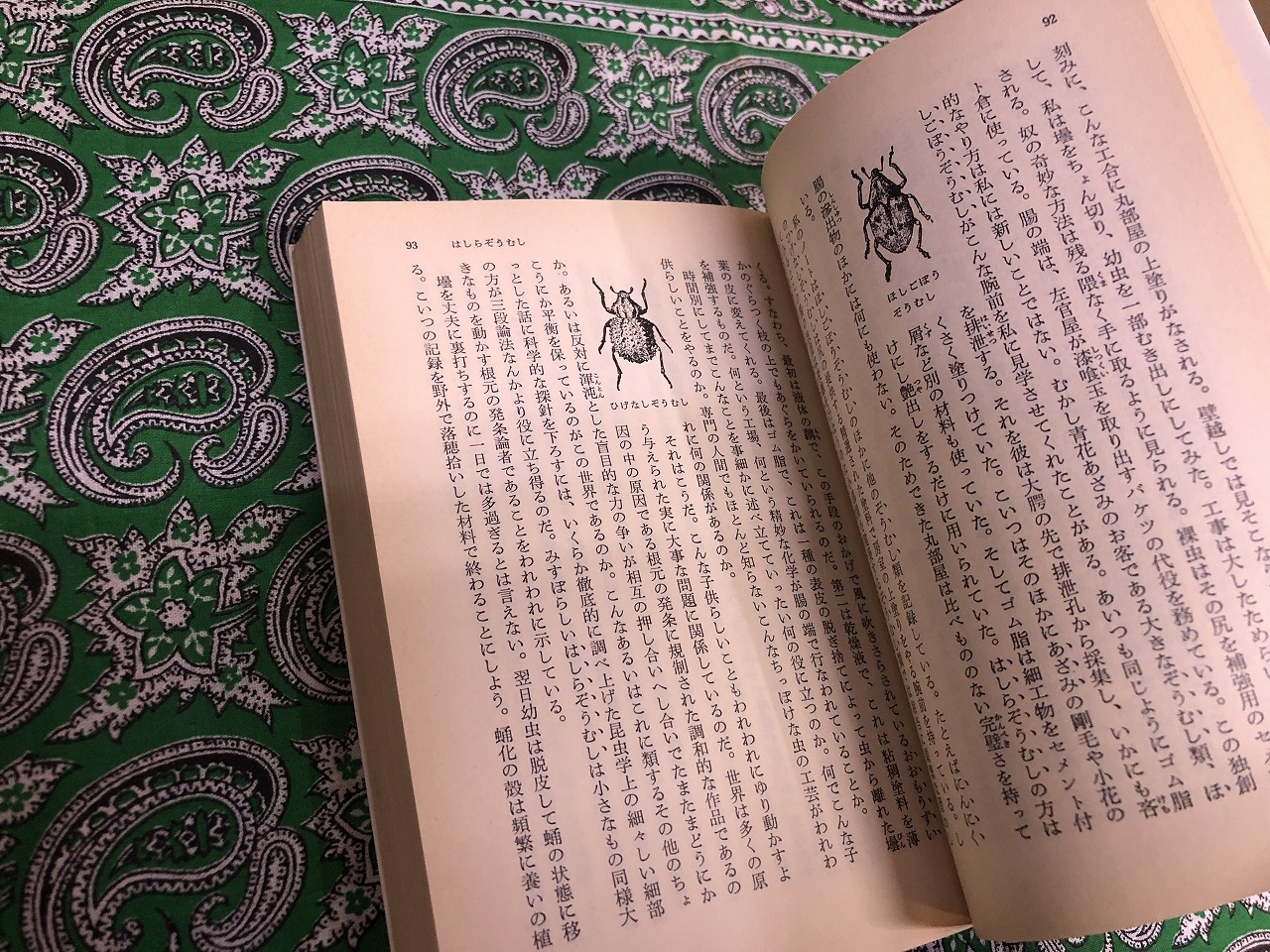 中身美品】岩波書店 完訳 ファーブル昆虫記 1〜10巻セット
