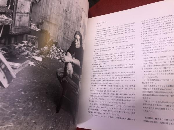 平野遼の世界展 図録 （1987年） ☆画像7枚 ご参照くださいませ