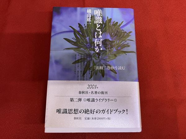 唯識とは何か 法相二巻抄を読む （2001年 新装第1刷） ☆画像7枚 ご  