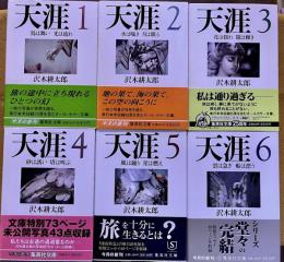 天涯　全6巻揃　集英社文庫　（2001-06年　第1刷）