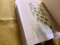 句集　夏草　金子せん女墨署名句入　（昭和8年）　★画像7枚　ご参照くださいませ