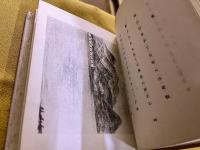 句集　夏草　金子せん女墨署名句入　（昭和8年）　★画像7枚　ご参照くださいませ