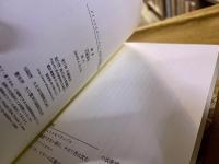 サイン本　署名本　ドイツイエロー、もしくはある広場の記憶　（2005年）　★画像6枚　ご参照くださいませ