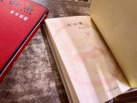 火の魚　室生犀星：著・装幀　山口蓬春：装画　昭和35年　初版　中央公論社　（昭和35年　初版） 　★画像7枚　ご参照くださいませ