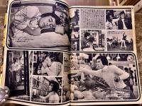 雑誌【週刊セブンティーン】昭和44年10月21日中山千夏ヒデとロザンナ谷隼人トワエモア赤松愛フォーリーブス太田幸司アラン・ドロン水野英子水森亜土　（昭和44年）　★画像7枚　ご参照くださいませ