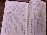 草原の椅子 決定稿 台本 旧蔵者（衣装助手）の直筆イラスト書込多 宮本輝 佐藤浩市 西村雅彦 吉瀬美智子 黒木華 吉田羊 イジリー岡田 中村靖日 小池栄子 若村麻由美 井川比佐志（2013年）