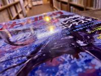 BE KUWA ビー・クワ 61 クワガタ飼育レコード 本土ヒラタクワガタ超特大血統あかがね フルストルファーオウゴンオニ ノコギリクワガタ （2016年）　★画像6枚　ご参照くださいませ