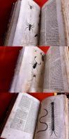 【奥付不明 初版は1840年 洋書 仏語 甲殻類、クモ類、多足類の自然史】HISTOIRE NATURELLE DES ANIMAUX ARTICULES Par M Lucas （奥付不明）　★画像6枚　ご参照くださいませ