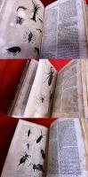 【奥付不明 初版は1840年 洋書 仏語 甲殻類、クモ類、多足類の自然史】HISTOIRE NATURELLE DES ANIMAUX ARTICULES Par M Lucas （奥付不明）　★画像6枚　ご参照くださいませ