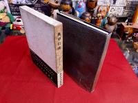 高村光太郎詩集　典型以後
