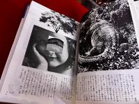 詩人の老いかた