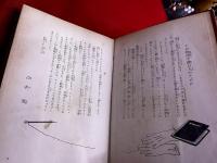 銀翼の少女　世界少女小説全集