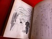 銀翼の少女　世界少女小説全集