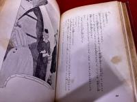 銀翼の少女　世界少女小説全集