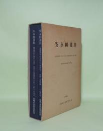 安永田遺跡　佐賀県鳥栖市に所在する安永田遺跡銅鐸鋳型出土地点の調査報告書　分析・考察編共2冊 （鳥栖市文化財調査報告書 第25集）