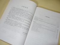 漢英詞典　（The Pinyin Chinese-English Dictionary）