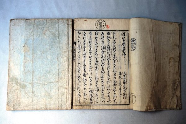 酒井抱一筆 七草図 一幅 （復刻）(酒井抱一 水府明徳会公認監修