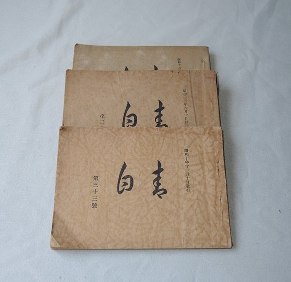 最も優遇の 頭蓋下顎障害(CMD)の理学療法(ト-レ・L.ハンソン 小林義典 健康+医学