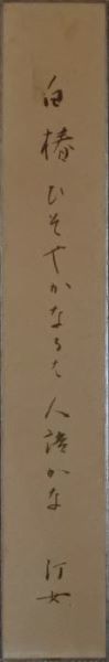 短冊 中村汀女 （中村汀女の句 | チャピと桃と一緒に）